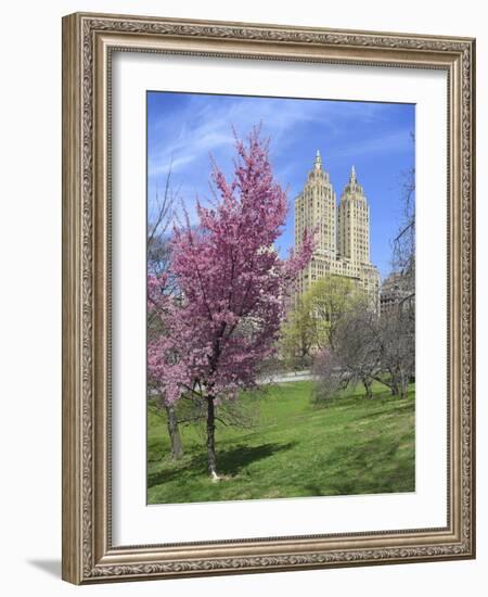 Central Park Spring Colors-Chris Bliss-Framed Photographic Print