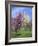 Central Park Spring Colors-Chris Bliss-Framed Photographic Print