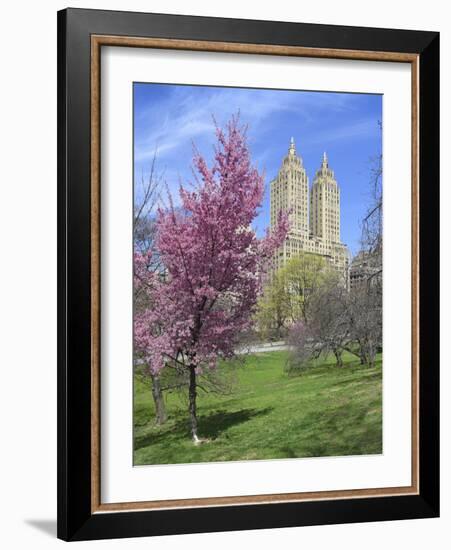 Central Park Spring Colors-Chris Bliss-Framed Photographic Print