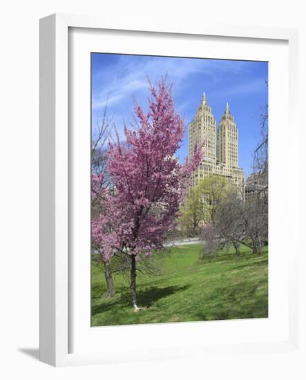 Central Park Spring Colors-Chris Bliss-Framed Photographic Print