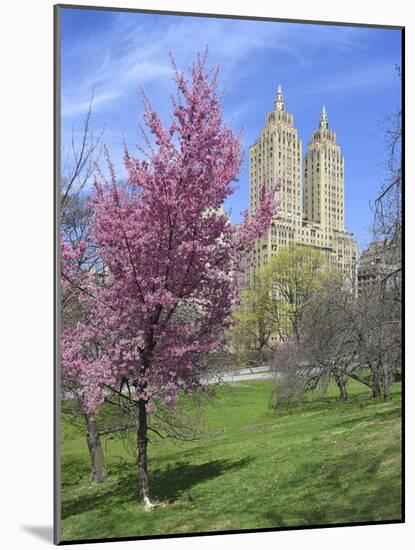 Central Park Spring Colors-Chris Bliss-Mounted Photographic Print