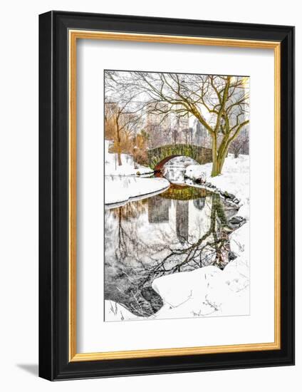 Central Park Winter No. 7-Murray Bolesta-Framed Photographic Print