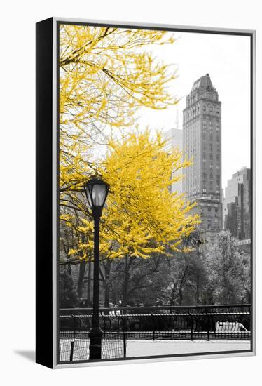 Central Park with Yellow Tree-Emily Navas-Framed Premier Image Canvas