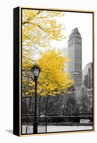 Central Park with Yellow Tree-Emily Navas-Framed Premier Image Canvas