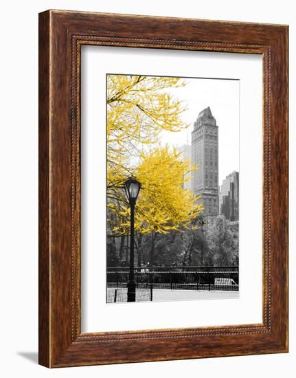 Central Park with Yellow Tree-Emily Navas-Framed Photographic Print