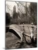 Central Park-Chris Bliss-Mounted Photographic Print