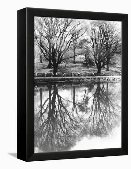 Central Park-Chris Bliss-Framed Premier Image Canvas