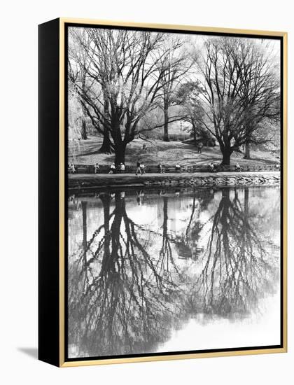 Central Park-Chris Bliss-Framed Premier Image Canvas