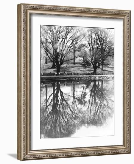 Central Park-Chris Bliss-Framed Photographic Print