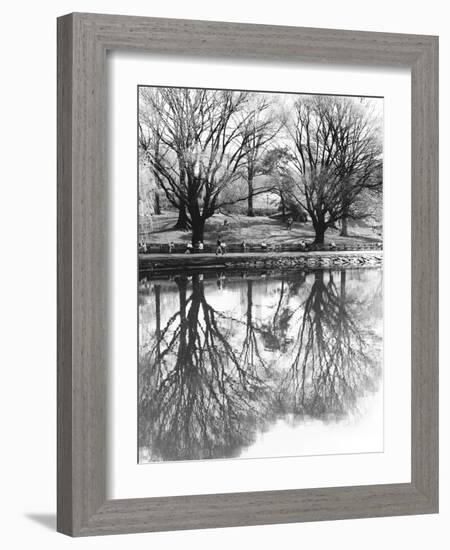 Central Park-Chris Bliss-Framed Photographic Print