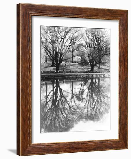 Central Park-Chris Bliss-Framed Photographic Print