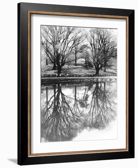 Central Park-Chris Bliss-Framed Photographic Print