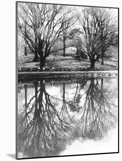 Central Park-Chris Bliss-Mounted Photographic Print