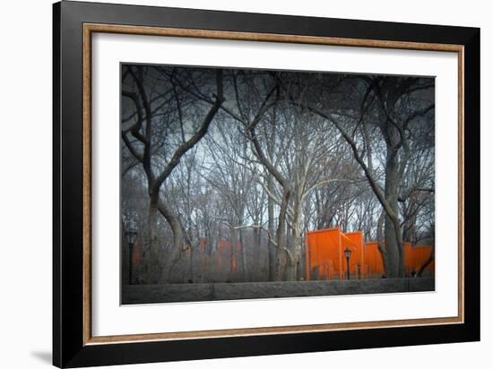 Central Park-NaxArt-Framed Art Print