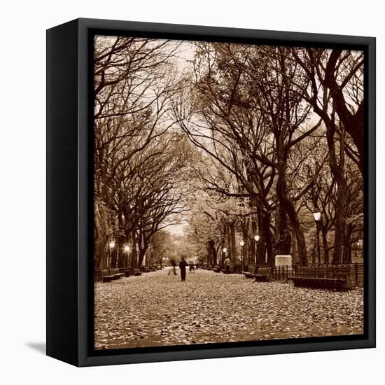 Central Park-Sasha Gleyzer-Framed Stretched Canvas