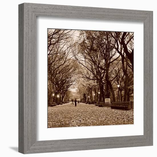 Central Park-Sasha Gleyzer-Framed Art Print