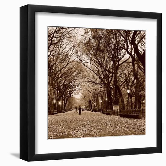 Central Park-Sasha Gleyzer-Framed Art Print