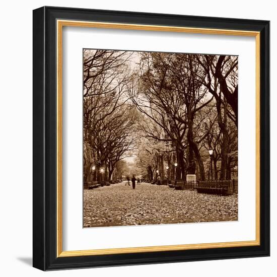 Central Park-Sasha Gleyzer-Framed Art Print