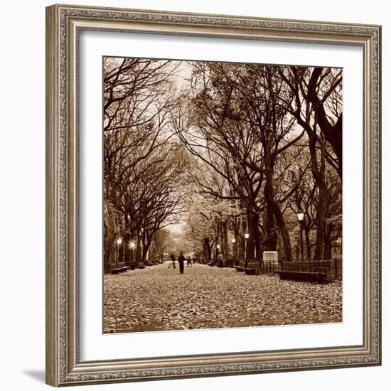 Central Park-Sasha Gleyzer-Framed Art Print