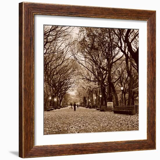 Central Park-Sasha Gleyzer-Framed Art Print