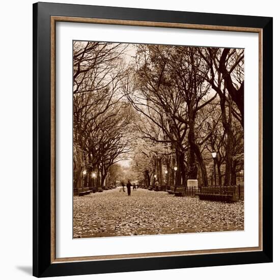 Central Park-Sasha Gleyzer-Framed Art Print