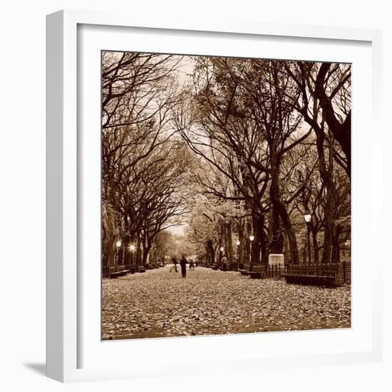 Central Park-Sasha Gleyzer-Framed Art Print