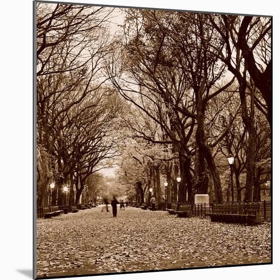 Central Park-Sasha Gleyzer-Mounted Art Print