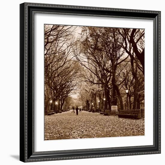 Central Park-Sasha Gleyzer-Framed Art Print