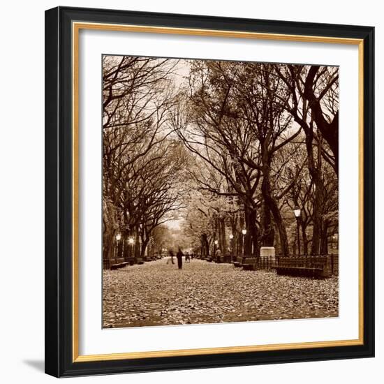 Central Park-Sasha Gleyzer-Framed Art Print