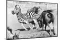 Premium Photographic Print