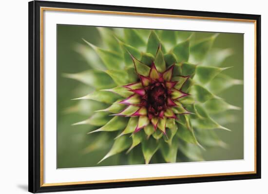 Central Radius-Staffan Widstrand-Framed Giclee Print