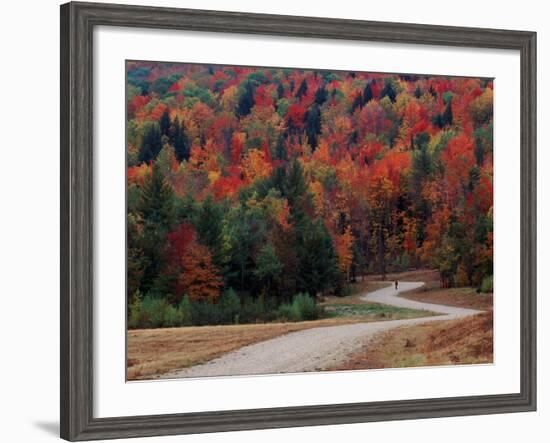 Central Vermont in the Fall, USA-Charles Sleicher-Framed Photographic Print