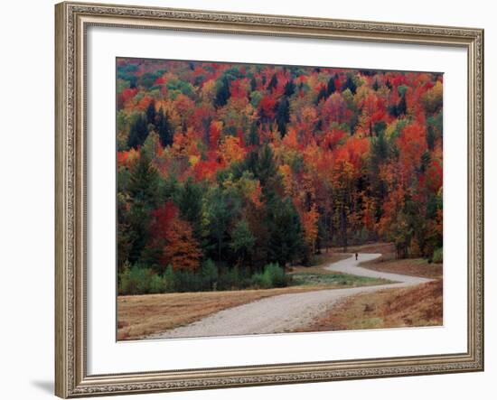 Central Vermont in the Fall, USA-Charles Sleicher-Framed Photographic Print