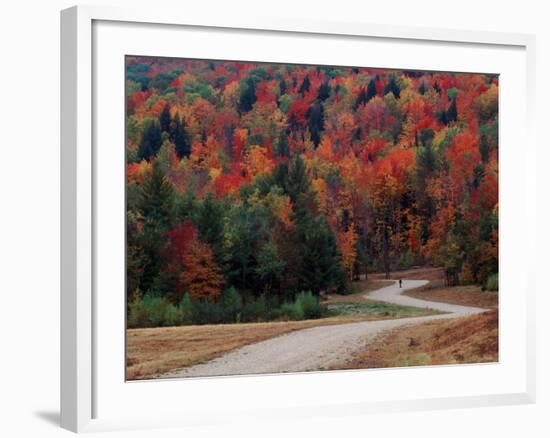 Central Vermont in the Fall, USA-Charles Sleicher-Framed Photographic Print