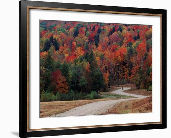 Central Vermont in the Fall, USA-Charles Sleicher-Framed Photographic Print