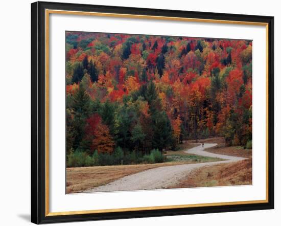 Central Vermont in the Fall, USA-Charles Sleicher-Framed Photographic Print