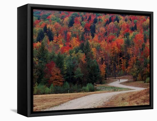 Central Vermont in the Fall, USA-Charles Sleicher-Framed Premier Image Canvas