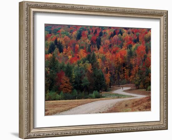 Central Vermont in the Fall, USA-Charles Sleicher-Framed Photographic Print