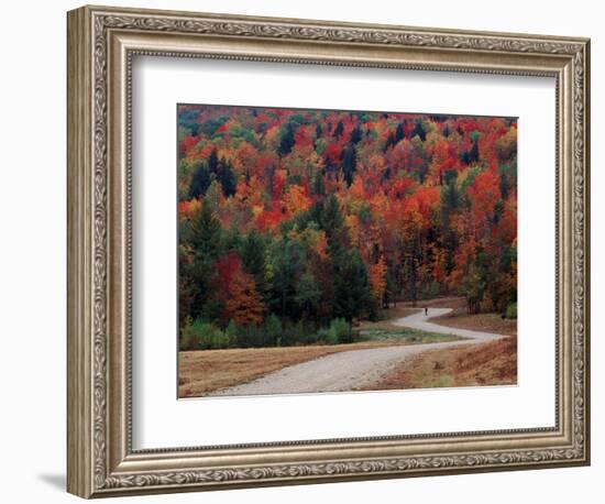 Central Vermont in the Fall, USA-Charles Sleicher-Framed Photographic Print