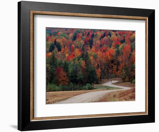 Central Vermont in the Fall, USA-Charles Sleicher-Framed Photographic Print