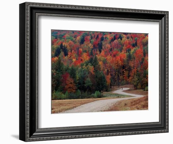 Central Vermont in the Fall, USA-Charles Sleicher-Framed Photographic Print