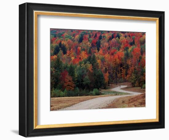 Central Vermont in the Fall, USA-Charles Sleicher-Framed Photographic Print