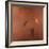 Centrifuge, 2010-Lincoln Seligman-Framed Giclee Print