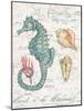 Centuria Seahorse-Chad Barrett-Mounted Art Print