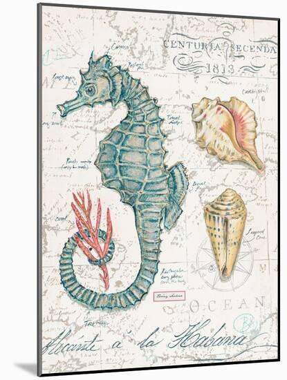 Centuria Seahorse-Chad Barrett-Mounted Art Print