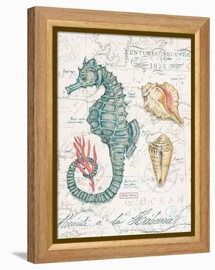 Centuria Seahorse-Chad Barrett-Framed Stretched Canvas