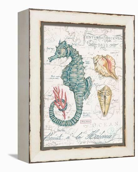 Centuria Seahorse-Chad Barrett-Framed Stretched Canvas