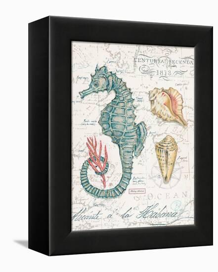 Centuria Seahorse-Chad Barrett-Framed Stretched Canvas