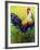 CEO Rooster-Marion Rose-Framed Giclee Print