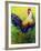 CEO Rooster-Marion Rose-Framed Giclee Print
